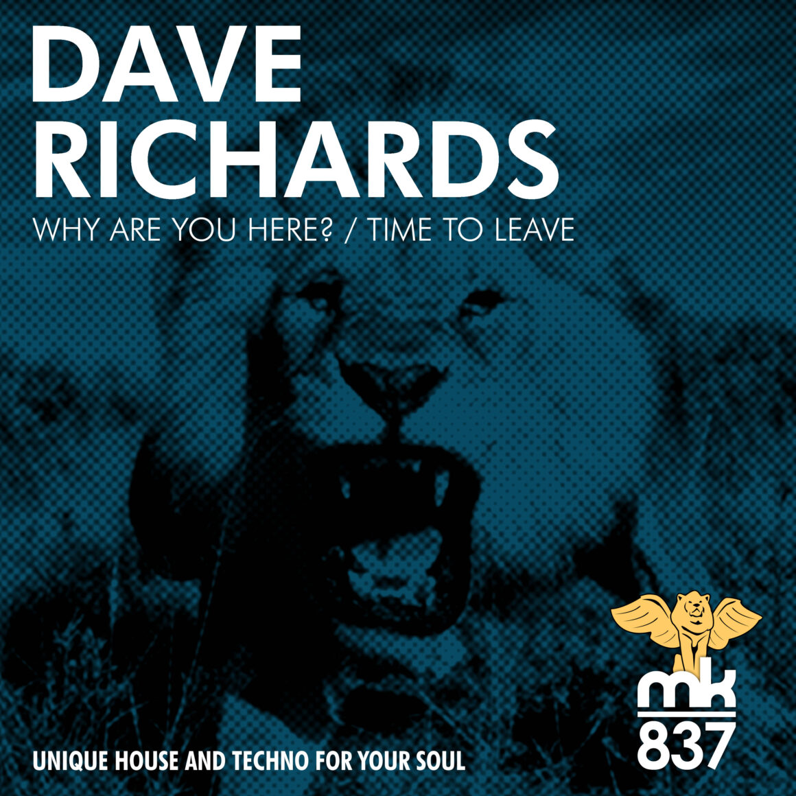 Dave Richards - Why Are You Here?