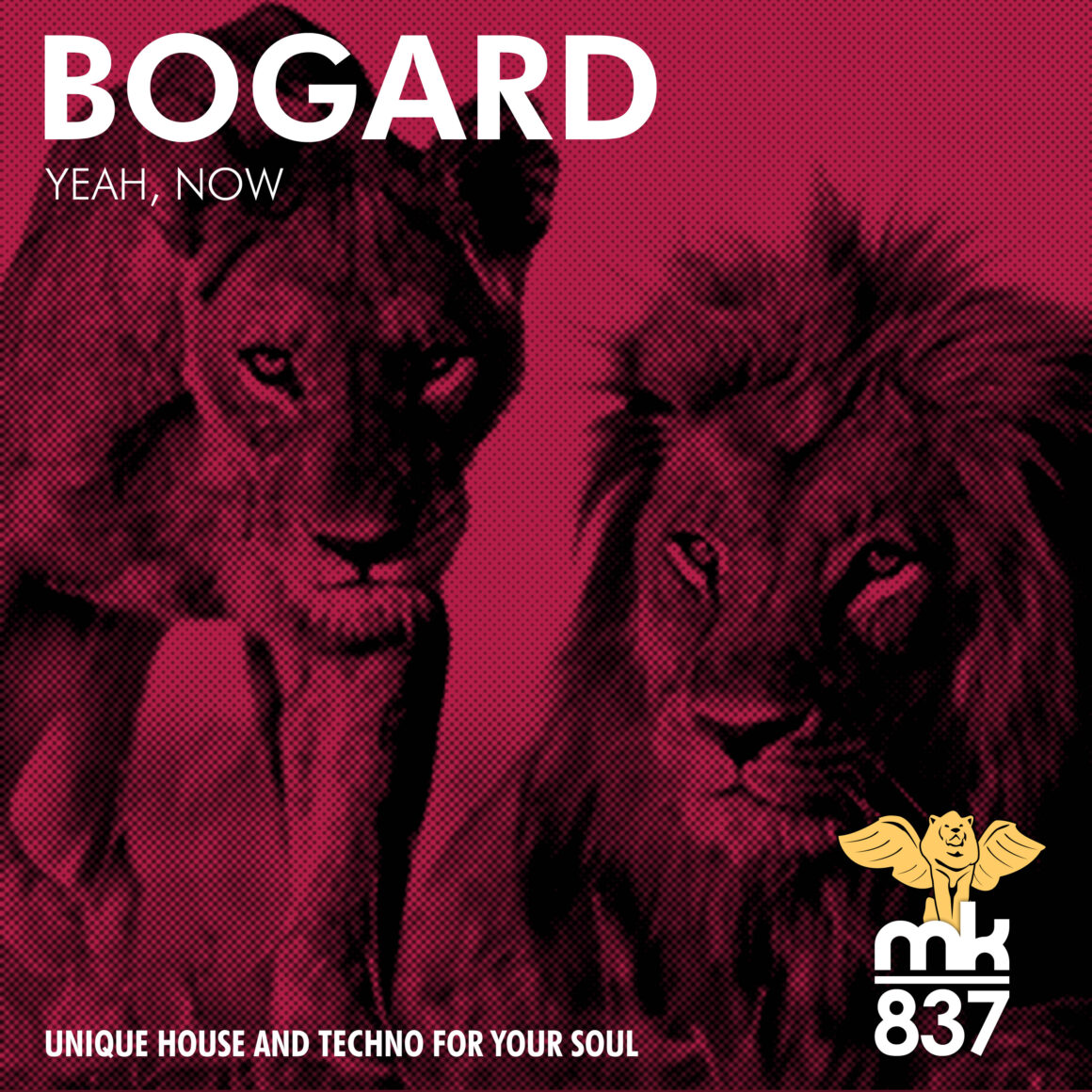 Bogard - Yeah, Now