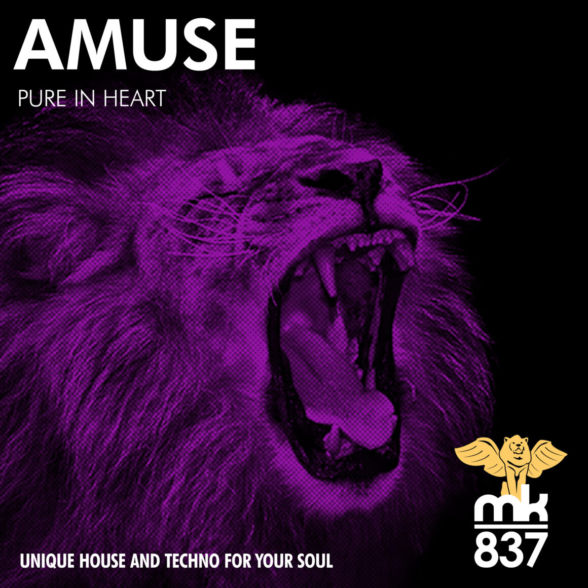 Amuse - Pure in Heart