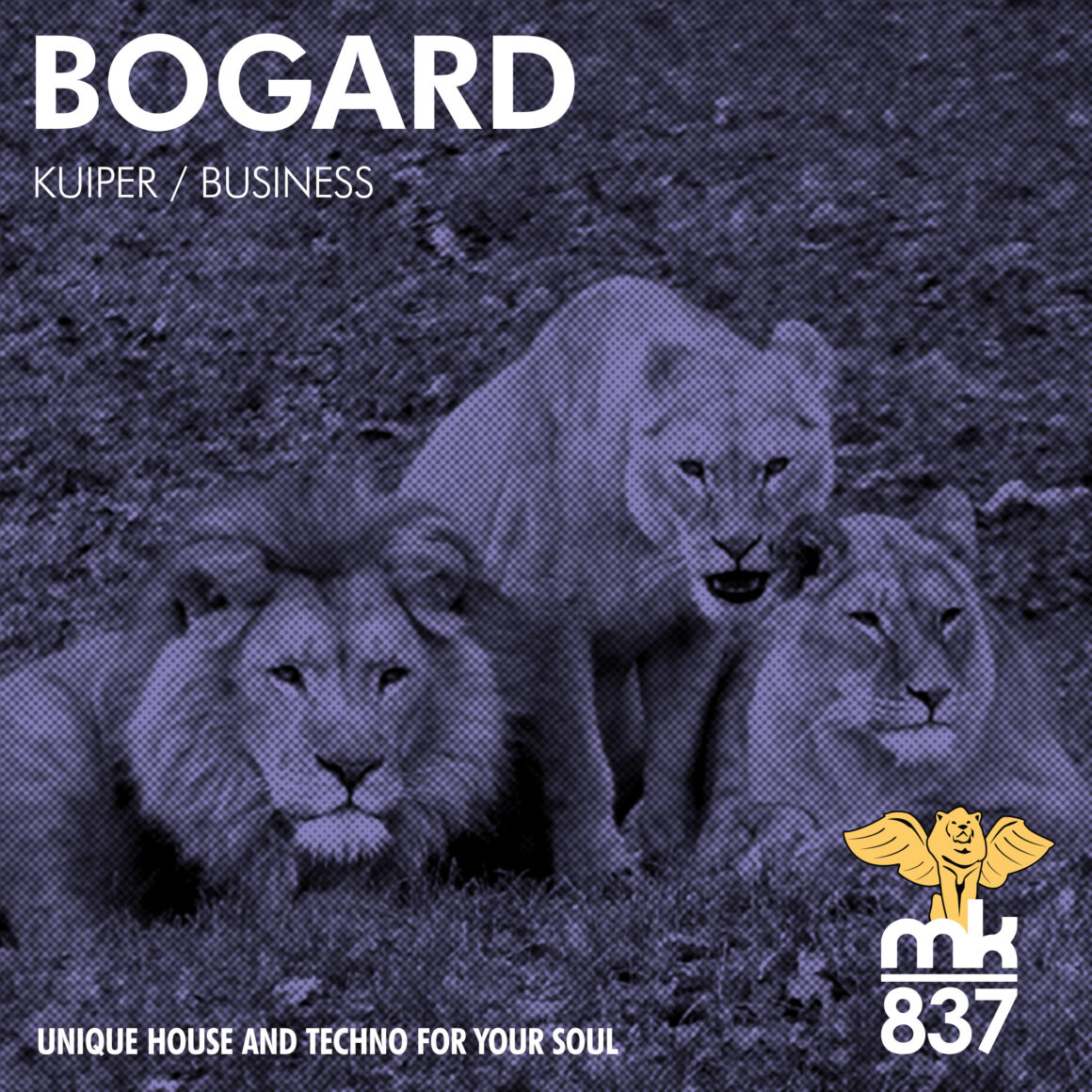 Bogard - Kuiper / Business