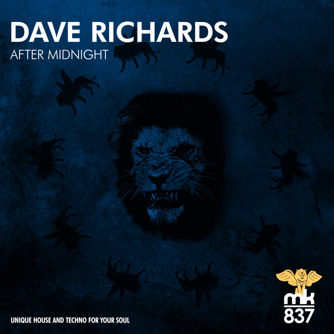 Dave Richards - After Midnight