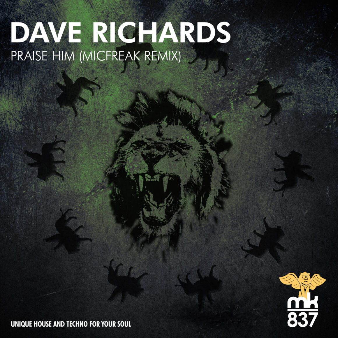 Dave Richards - Praise Him (MicFreak Remix)