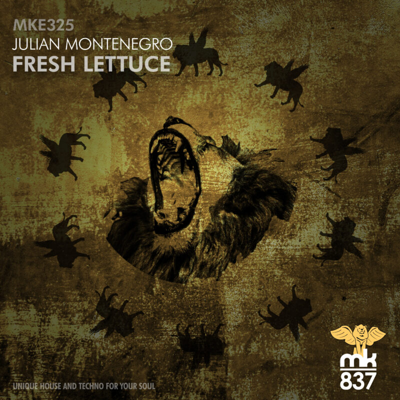 Julian Montenegro - Fresh Lettuce