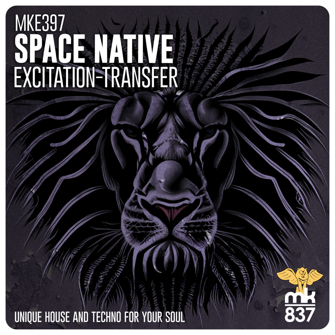 Space Native - Excitation-Transfer