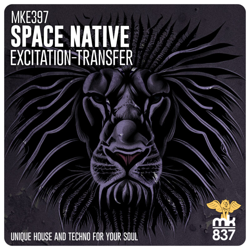 Space Native - Excitation-Transfer