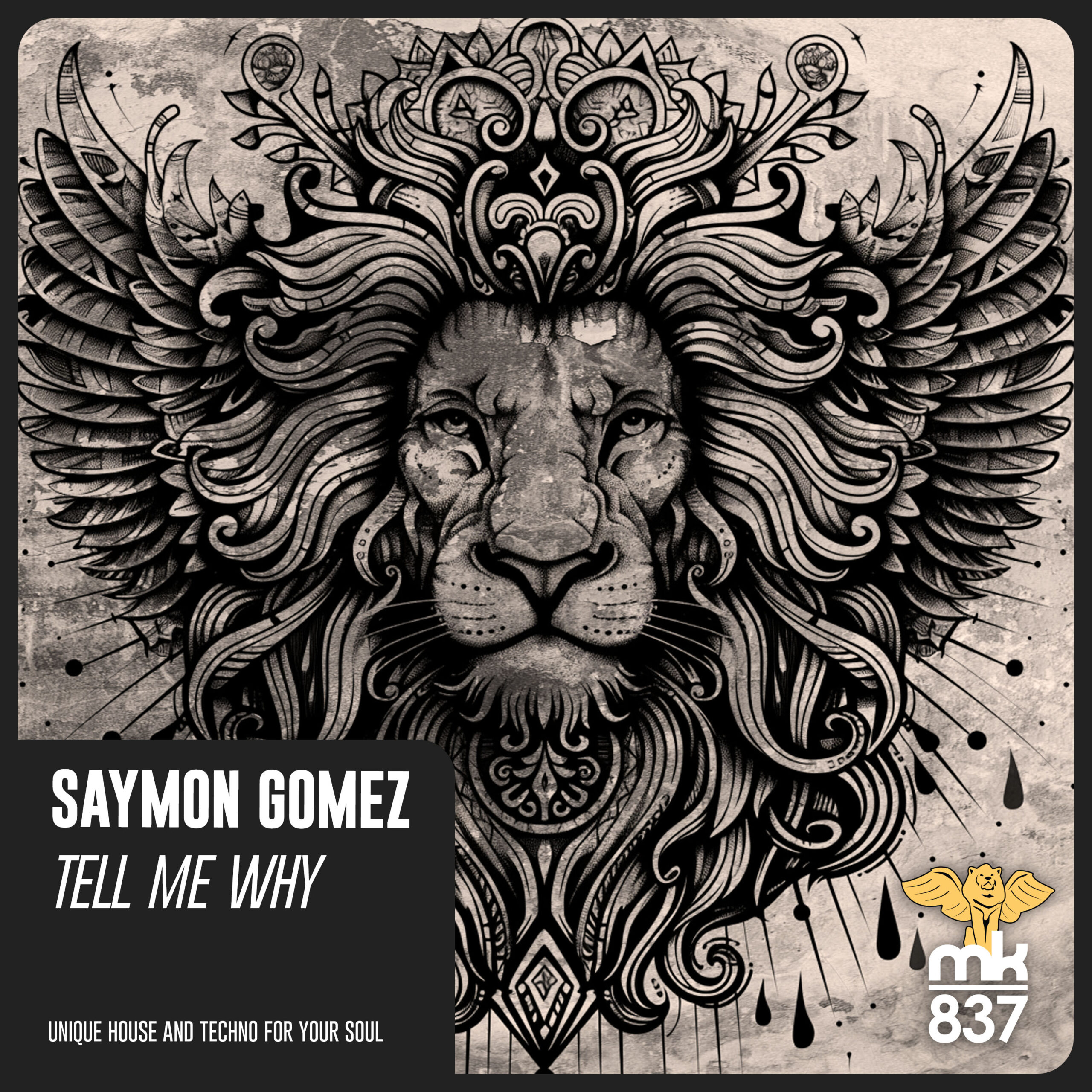 491-SaymonGomez-TellMeWhy